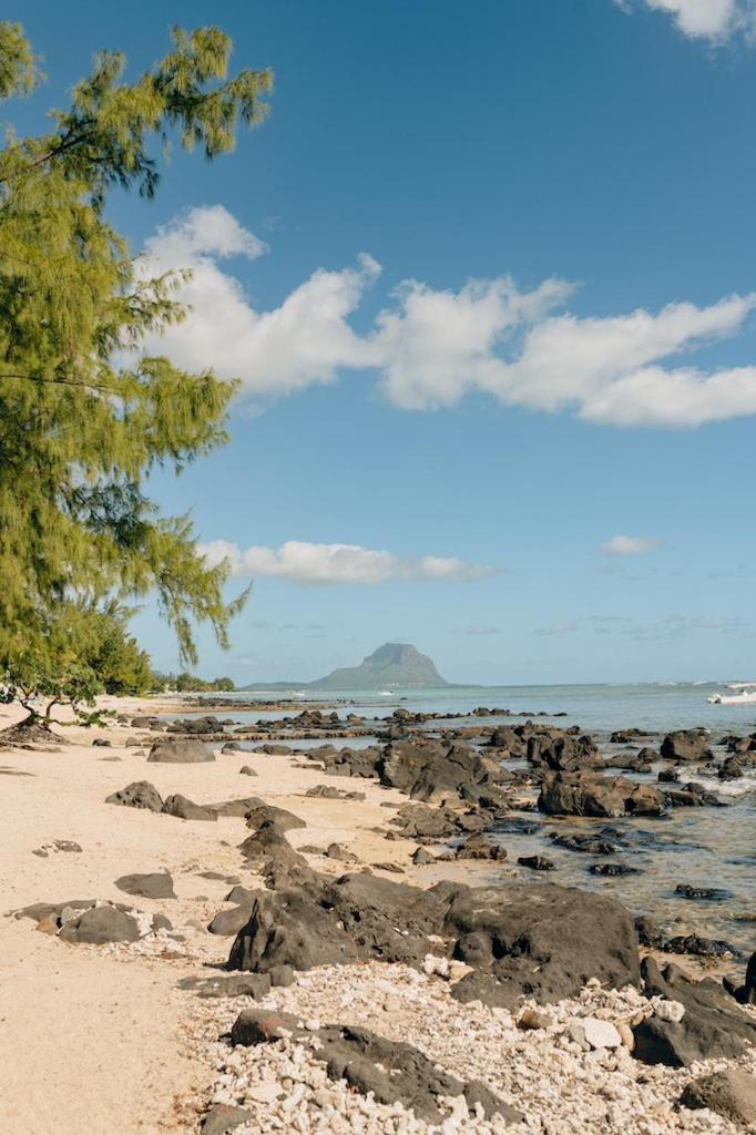 Beach And Mountain - Tamarin Eksteriør billede